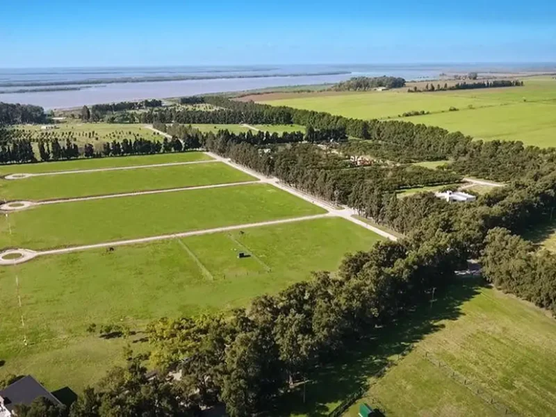 Azahares del Paraná- Lote BR18
